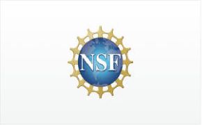 U.S. National Science Foundation has announced the first grants under a Quad-supported initiative